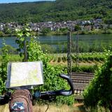 1907G 072 Mosel und Rhein